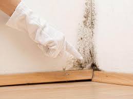 Mold Removal for HVAC Installations in Whippany, NJ